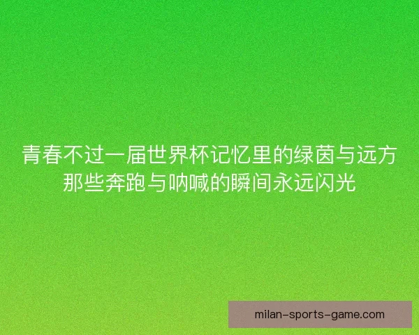 青春不过一届世界杯记忆里的绿茵与远方那些奔跑与呐喊的瞬间永远闪光